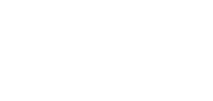 Experience & Perfomance