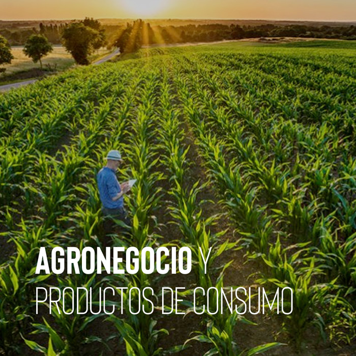 agronegocio y productos de consumo